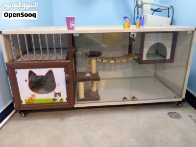 undefined 2
