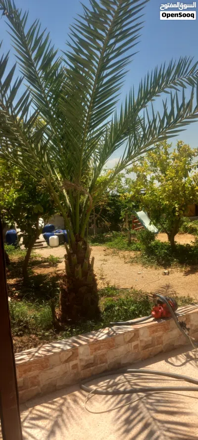 undefined 2