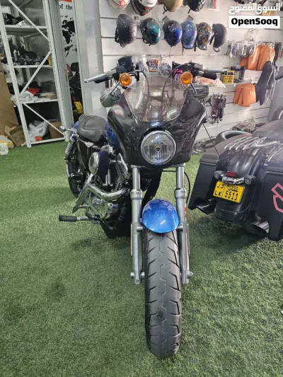 Harley Davidson 1200 Custom 3