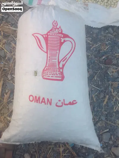للبيع شوع عماني 4