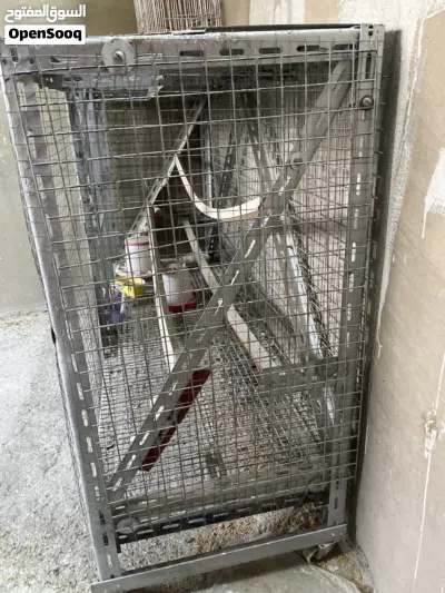مطير عصافير حديد للإنتاج جماعي 2