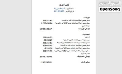 ايداع القوائم المالية للشركات الصغيرة و متناهية الصغر 2