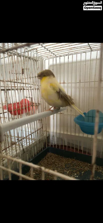 undefined 2