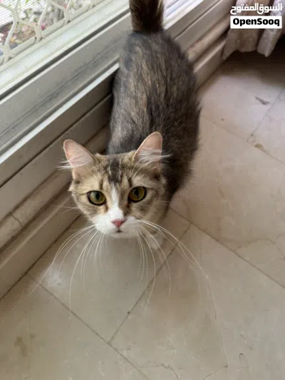 undefined 2