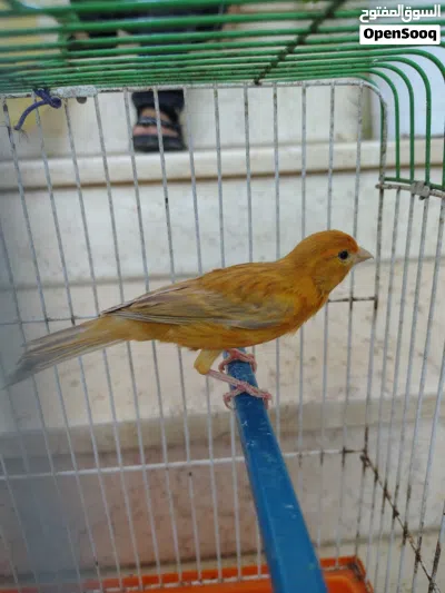 undefined 2