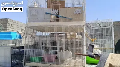 اقفاص مستخدمة للبيع 4