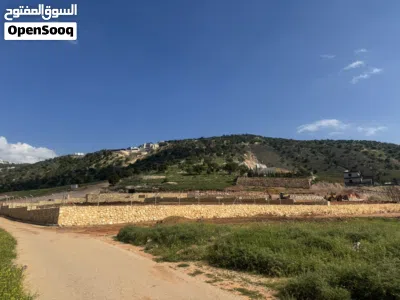 ارض في ماحص حوض ام الخال مساحة 3400 م مستصلحة جاهزة لبناء مزرعتك قريبة من خلدا دابوق تلاع العلي 2