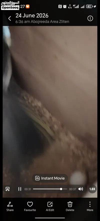 كوبية كوكتيل حبشي حجم الله يبارك 2