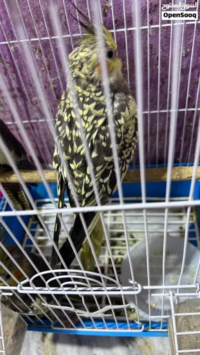 undefined 3