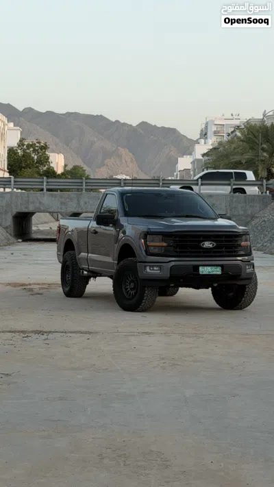فورد F-150 XL 2
