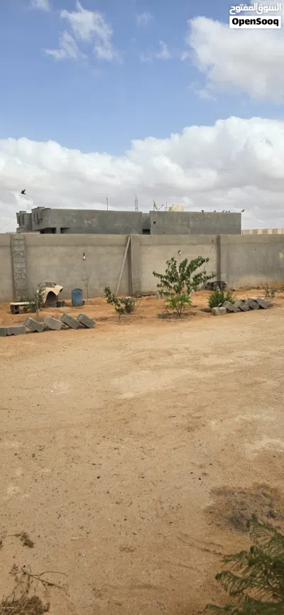 أرض بير العالم باتجاه السايح 2
