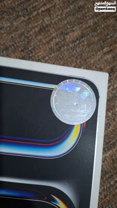 IPAD PRO M4 4