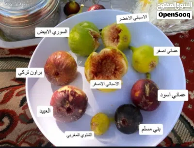 undefined 2