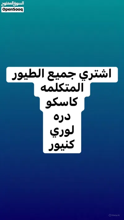 اشتري جميع الطيور المتكلمه الاليفه كاسكو دره كنيور 2