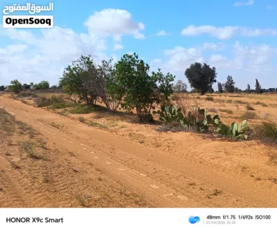 ارض هكتارين و 9000متر جنب الرئيسي طريق مطار 4