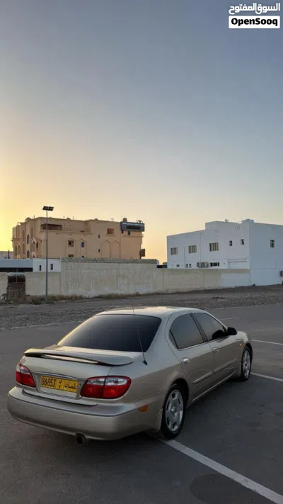 نيسان مكسيما SV 4