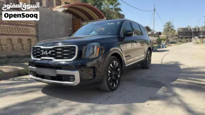 Kia Telluride SX Prestige X-Pro 3