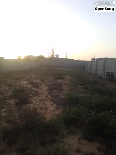 ارض للبيع ربي يبارك مالك طول قابل للنقاش 2
