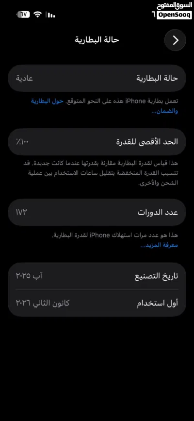 عادي iPhone 15 3
