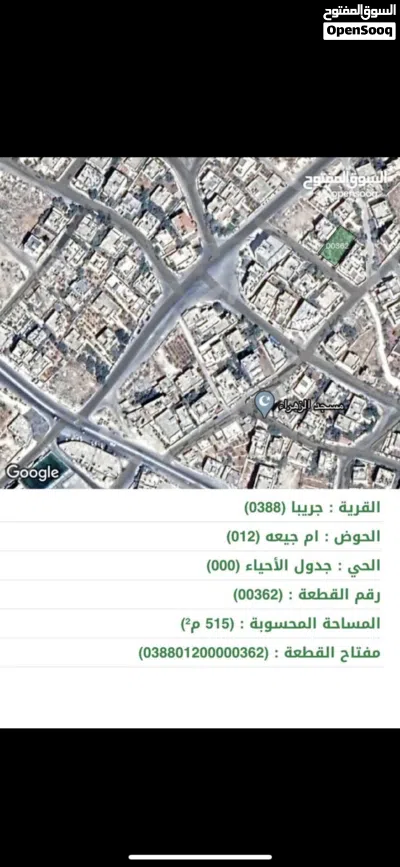 ارض للبيع جريبا حوض ام جيعة قريبة من لين ستور تبعد 200 م عن شارع جريبا الرئيسي للبيع 2