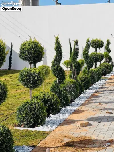 موسسة الابداع لتنسيق الحدائق 3