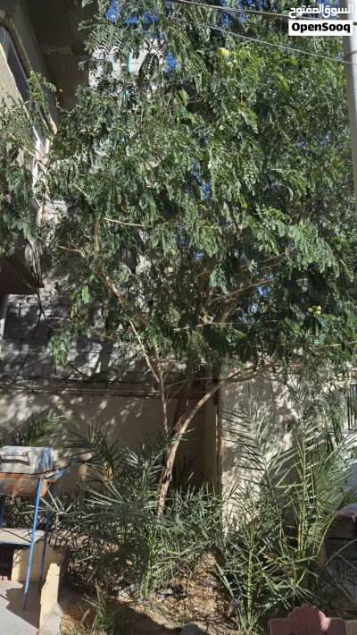 دار للبيع مساحه 200 متر 4
