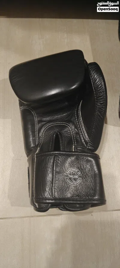 Official one championship Fairtex 12oz muay thai/boxing gloves, brand new 4