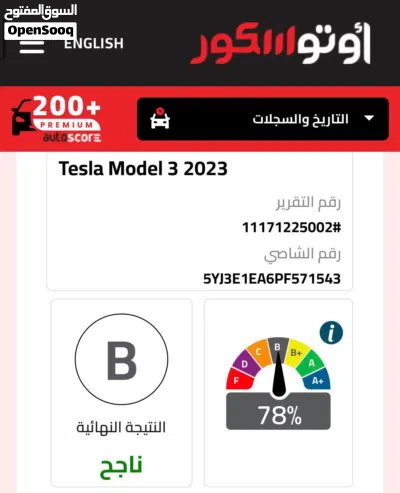 تيسلا موديل 3 Standard 2