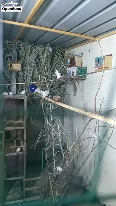 undefined 2