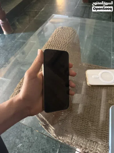 16 برو ماكس مذهب 2