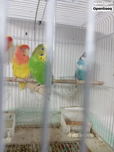 undefined 2