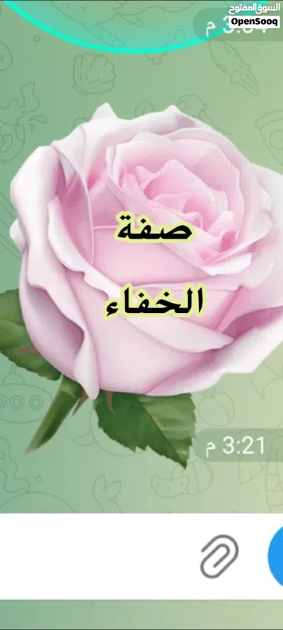 شقه للايجار 2