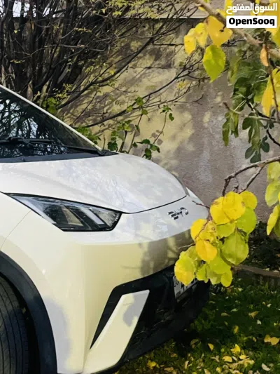 BYD Song L 2