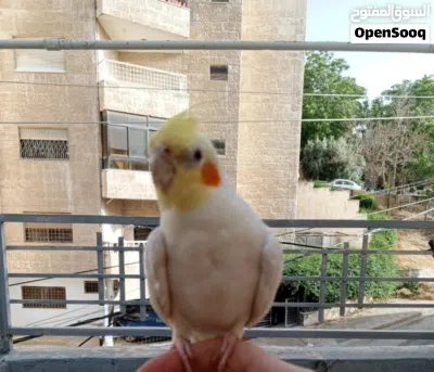 undefined 3