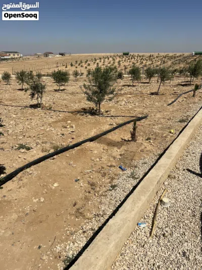 مزرعه للبيع منطقة بريك تبعد عن جسر المطار 21 كيلو باتجاه الجنوب 2