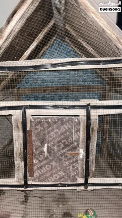 قفص طيور الزينه 3