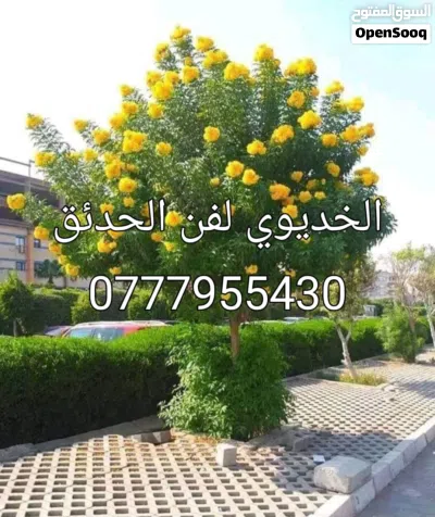 undefined 4