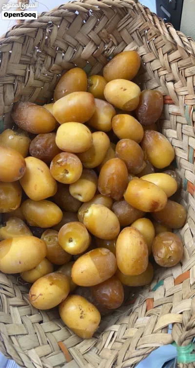 مقهى متنقل فود ترك كرفان للبيع مرخص من الشرطة والبلدية مع التامين والأرقام للمقهى 2