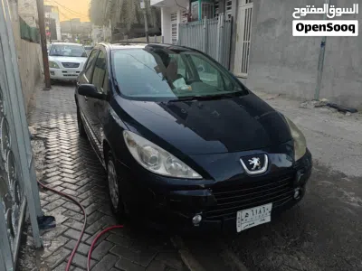 Peugeot 307 Standard 4