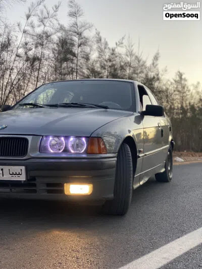 BMW 3 Series 316 2