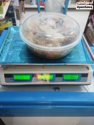 عسل ابو طويق قص الموسم جديد 2