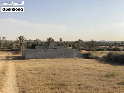 فرصة استثمارية استراحة قريبه من البحر 4