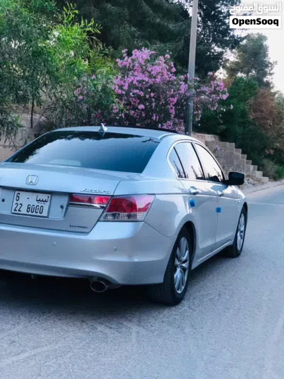 Honda Accord Limited 3