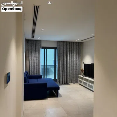 Premium fully furnished APT 3