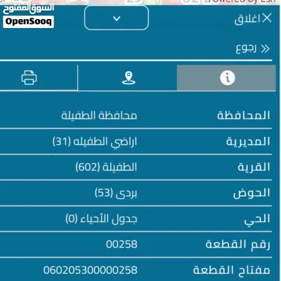 للبيع أرض مشاع 7.7 دونم في الطفيلة حوض بردى - موقع مميز على شارعين 3