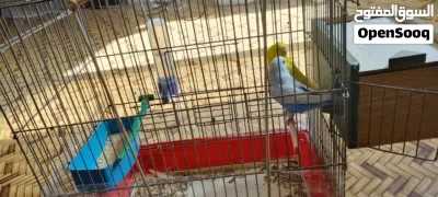 undefined 2