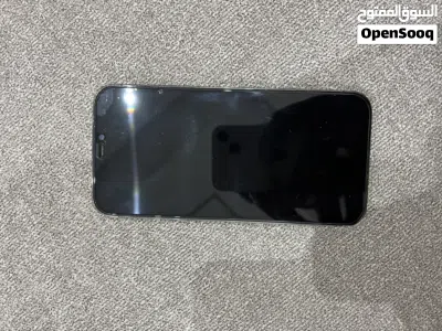 iPhone 12 4