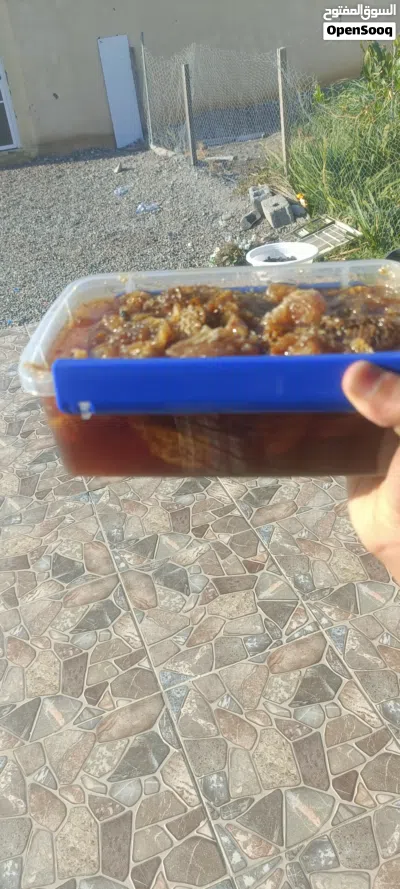 عسل ابو طويق برم فحت لا يوجد فيه خلط ابداً 4