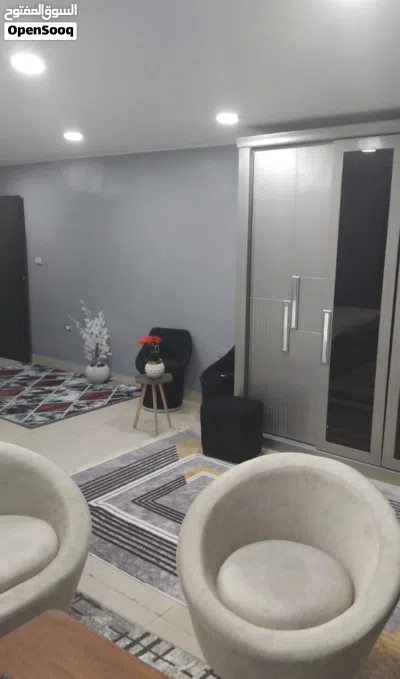 يومي ابتداء من 1000 جنيه بالمهندسين مفروش فرش راقي 4