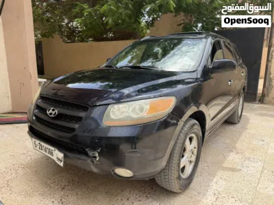 Hyundai Santa Fe Standard 4